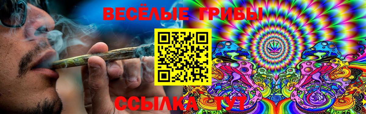 Псилоцибиновые грибы Psilocybe Самара