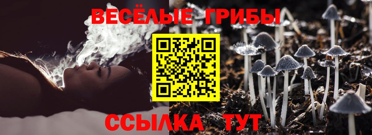 Галлюциногенные грибы Cubensis  Псилоцибиновые грибы Magic Shrooms  Самара  Вход с VPN 